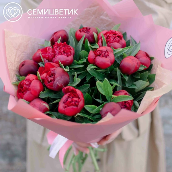 Букет из 15 бордовых пионов Standart в розовой пленке