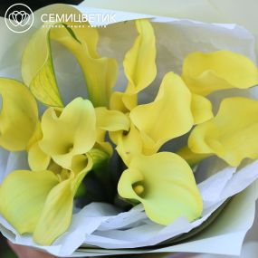 Букет из 11 желтых калл