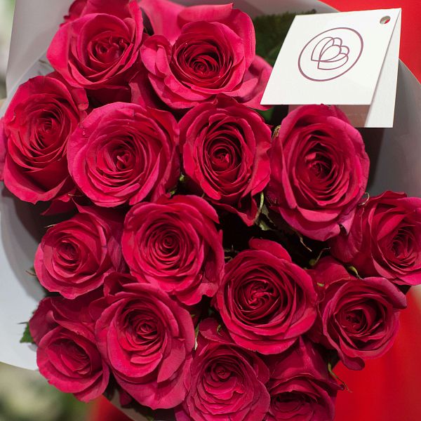 15 малиновых роз (Кения) 40 см Premium