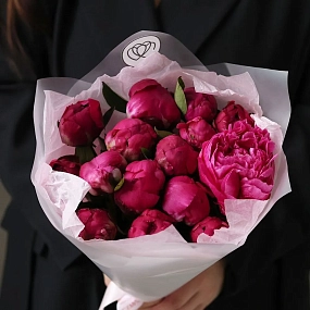 Букет из 15 ярко-розовых пионов Red Sarah Bernhardt Premium в розовой упаковке