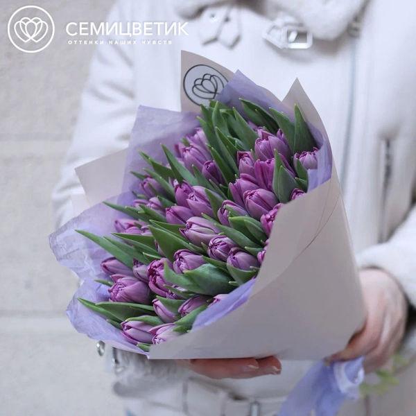 Букет из 51 сиреневого пионовидного тюльпана в кремовой упаковке