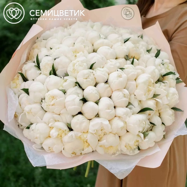 Букет из 101 белого пиона Premium в кремовой пленке