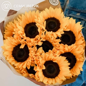 Букет из 9 подсолнухов в упаковке