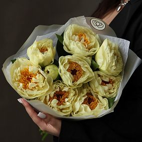 Букет из 9 лимонных пионов Lemon Chiffon Premium