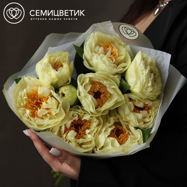 Букет из 9 лимонных пионов Lemon Chiffon Premium