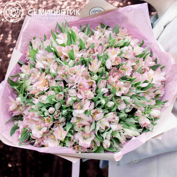 Букет из 51 альстромерии в розовых тонах в кремовой пленке