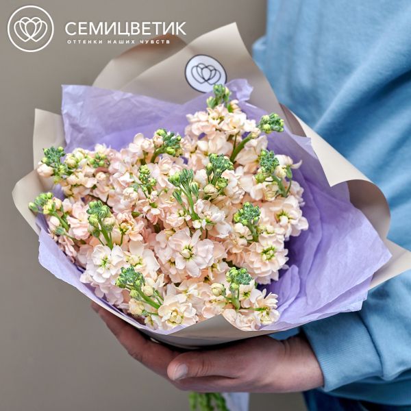 Букет из 15 кремовых махровых маттиол
