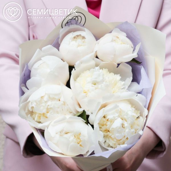 Букет из 7 кремовых пионов Bowl of Cream Premium