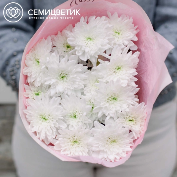 Букет из 3 белых кустовых хризантем в розовой пленке