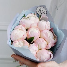 Маленький букет  из 9 нежно-розовых пионов Premium
