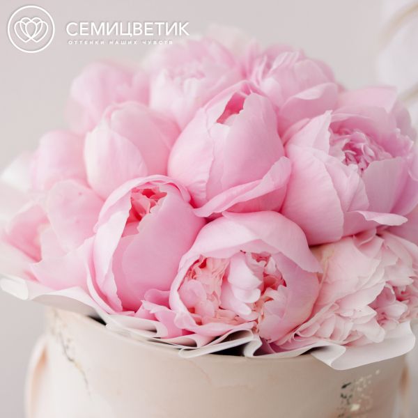 Букет в бежевой шляпной коробке Amour Mini из 21 розового пиона Standart Plus