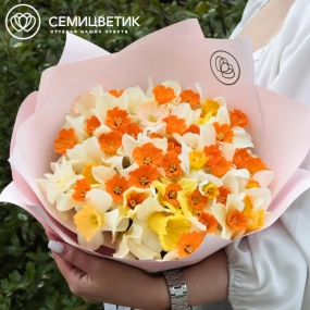 Букет из 51 нарцисса в розовой пленке
