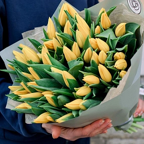 Букет из 51 желтого тюльпана 40 см в зеленой пленке
