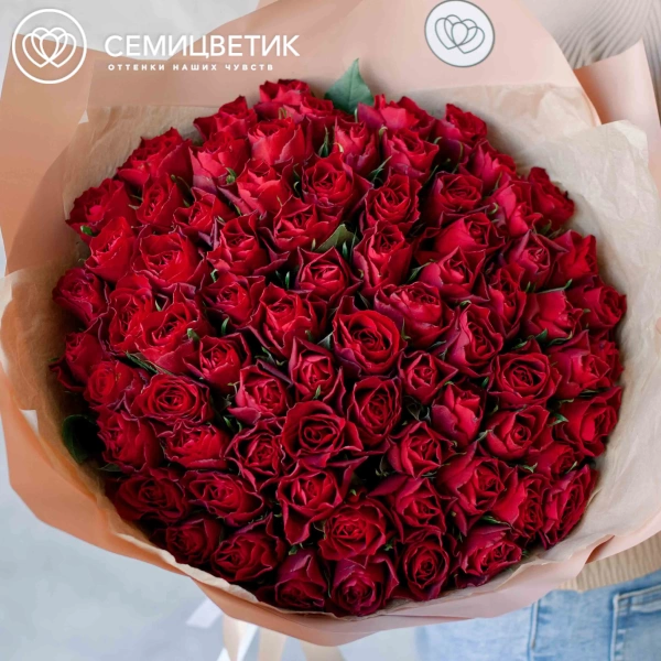 Букет из 75 красных роз 35-40 см (Кения) в кремовой пленке