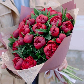 Мини-букет  из 25 бордовых пионов Standart в розовой пленке