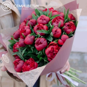 Букет из 25 бордовых пионов Standart в розовой пленке