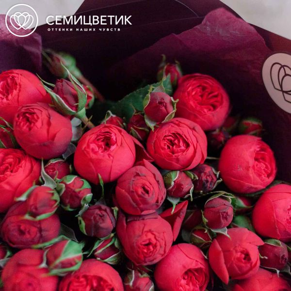 Букет из 25 красных кустовых пионовидных роз Red Piano 40 см