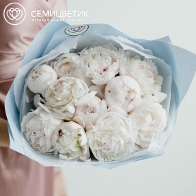 Букет из 11 нежно-розовых пионов Standart Plus в голубой пленке