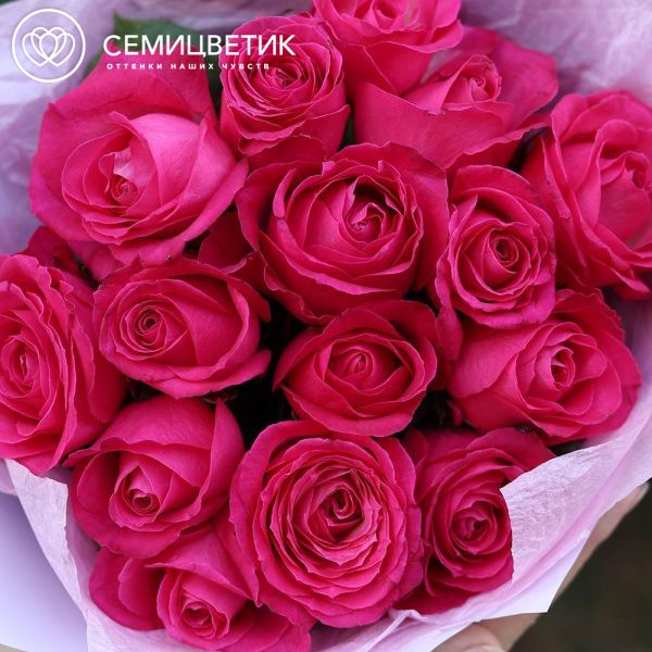Букет из 15 малиновых роз 35-40 см (Россия) в сиреневой пленке