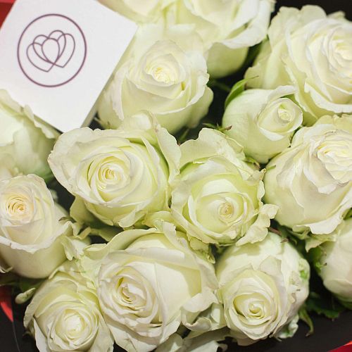 Белые розы 40 см (Кения) Premium