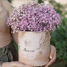Букет в бежевой шляпной коробке Amour Mini из 9 розовых гипсофил