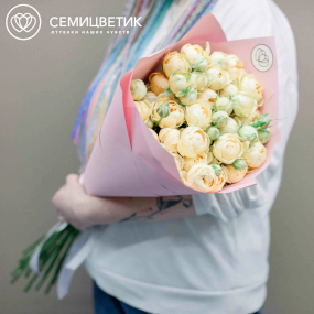 Букет из 15 кремовых кустовых пионовидных роз 70 см (Россия) в розовой пленке