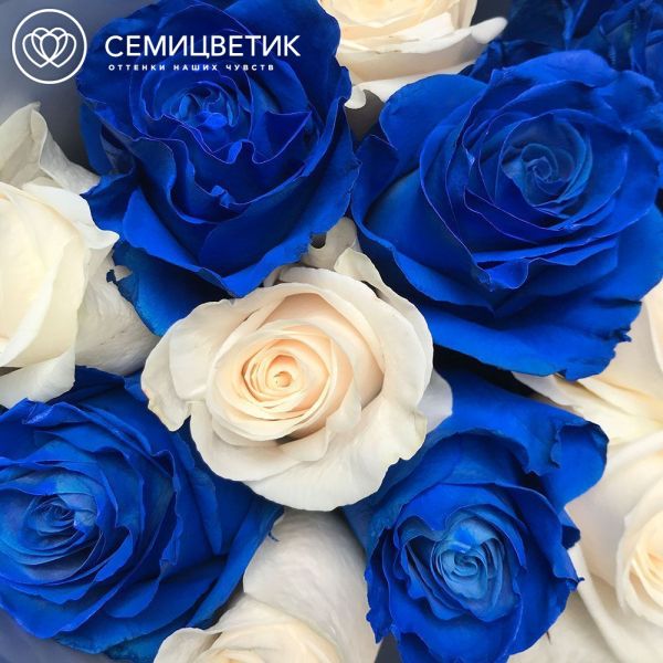 Букет из 15 синих и белых роз Vendela (Эквадор)