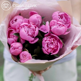 Букет из 9 ярко-розовых пионов Standart в кремовой пленке