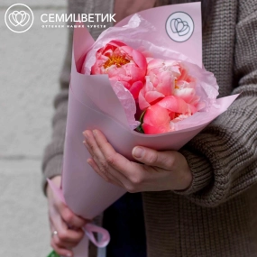 Букет из 3 коралловых пионов Coral Sunset Premium в розовой пленке