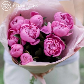 Букет из 9 ярко-розовых пионов Standart в кремовой пленке