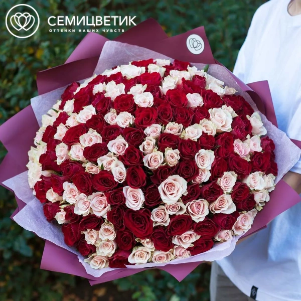 Букет из 151 красной и нежно-розовой розы 35-40 см (Кения) в бордовой пленке