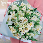 Букет из 11 белых альстромерий в розовой пленке