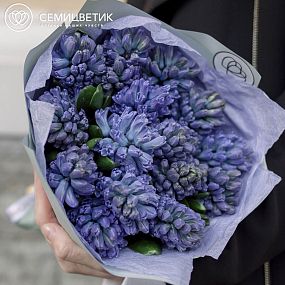Букет из 15 синих гиацинтов