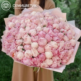 Букет из 101 розового пиона Premium в розовой пленке