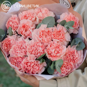 Букет из 15 розовых гвоздик с эвкалиптом в кремовой пленке