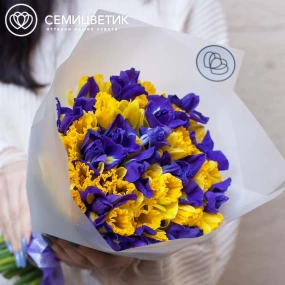 Букет из 26 желтых нарциссов и 19 ирисов в прозрачной пленке