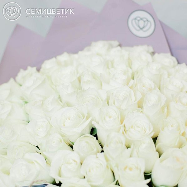 101 белая роза (Кения) 40 см Premium