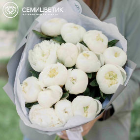 Букет из 15 белых пионов Standart Plus в голубой пленке