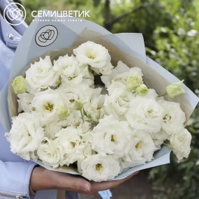 Букет из 15 белых махровых лизиантусов в голубой пленке