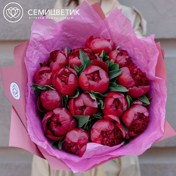 Букет из 15 бордовых пионов Premium в розовой пленке