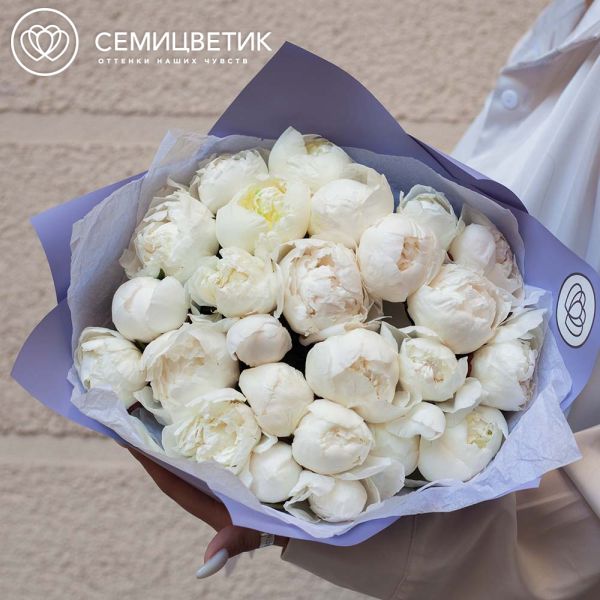 Букет из 25 белых пионов Standart Plus в сиреневой пленке