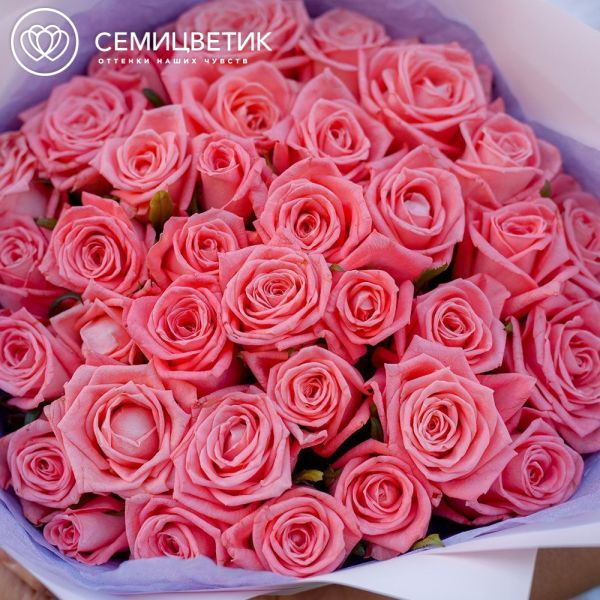 Букет из 35 коралловых роз 35-40 см (Россия) в розовой пленке
