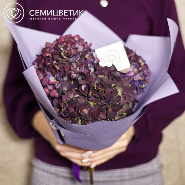 Букет из 3 тёмно-бордовых гортензий
