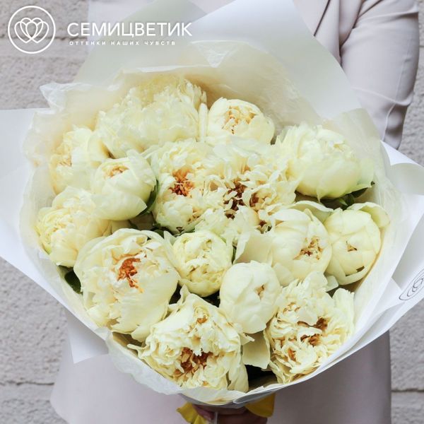 Букет из 15 лимонных пионов Lemon Chiffon Premium в белой пленке