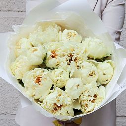 Букет из 15 лимонных пионов Lemon Chiffon Premium в белой пленке