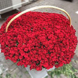 Композиция из 1001 красной розы Premium 40 см (Кения) в корзине