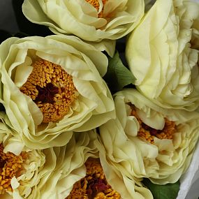 Букет из 9 лимонных пионов Lemon Chiffon Premium
