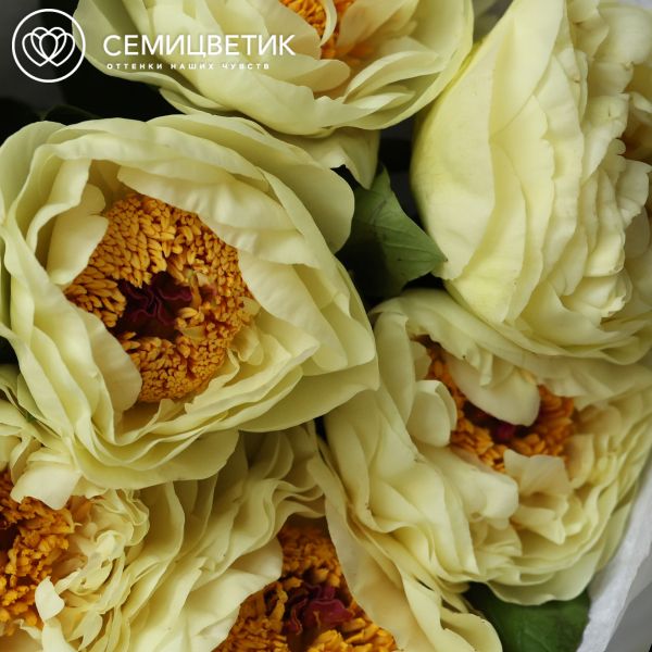 Букет из 9 лимонных пионов Lemon Chiffon Premium