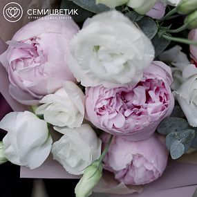 Букет из 5 пионов, 3 лизиантусов и эвкалипта в розовой пленке