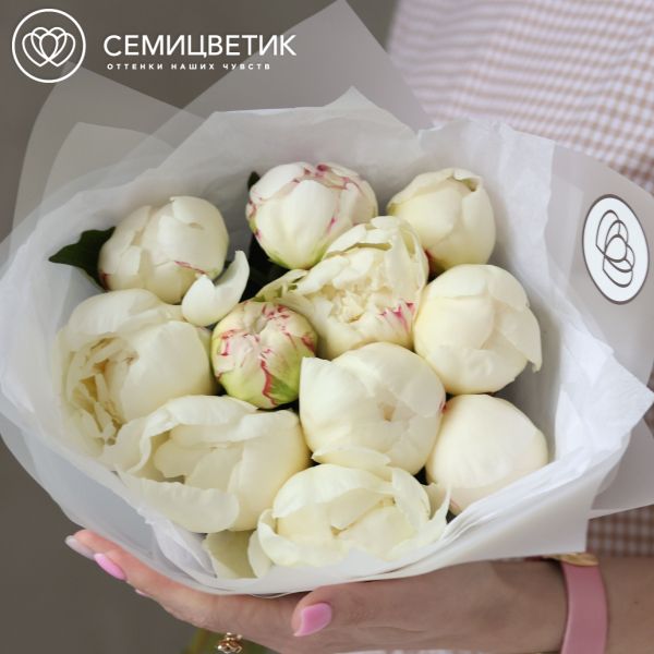 Букет из 11 белых пионов Kelway`s Glorious Premium